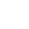 X Icon