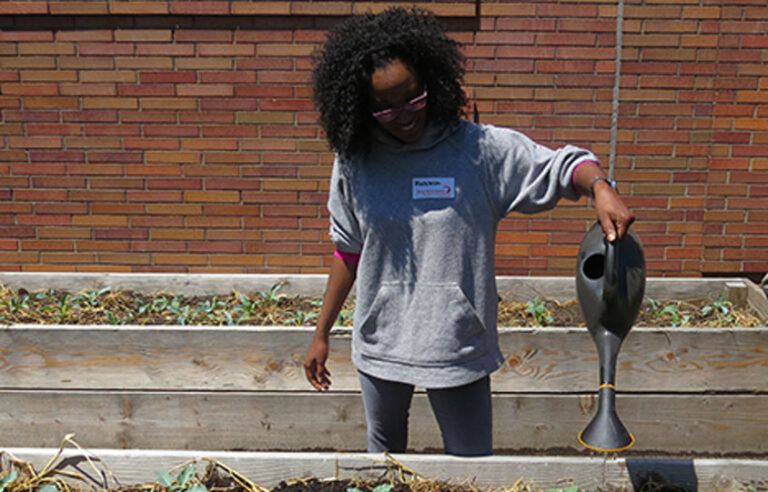 NYC Health + Hospitals/East New York Opens Urban Farm Site to Offer Fresh, Affordable Food to Community