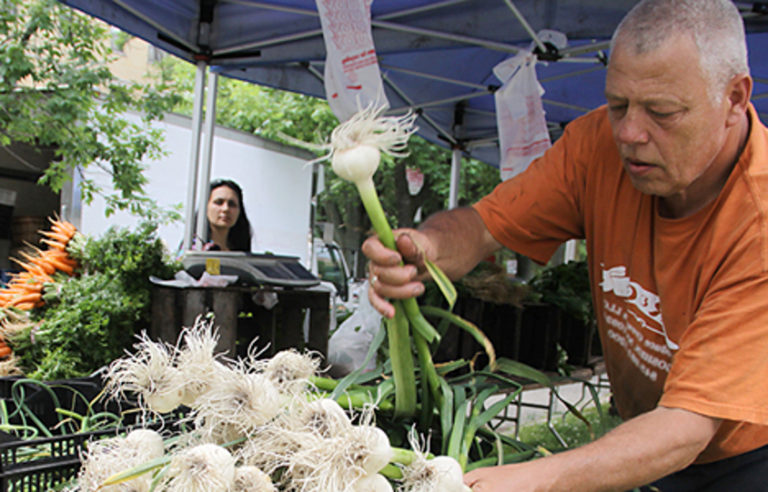 HHC Farmers Markets Help Bring Better Eating to the Manhattan