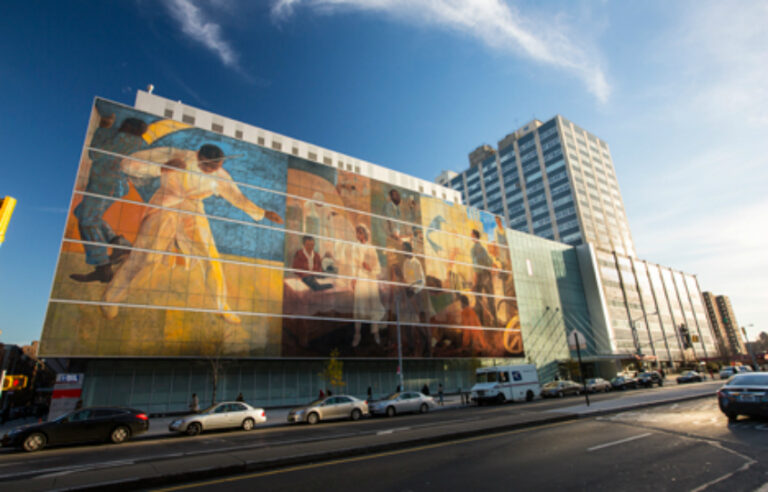 HHC Harlem Hospital Center Receives National Recognition for Excellence in Stroke Care