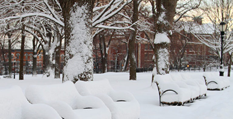 HHC’s Health Tips to Stay Safe During the Blizzard