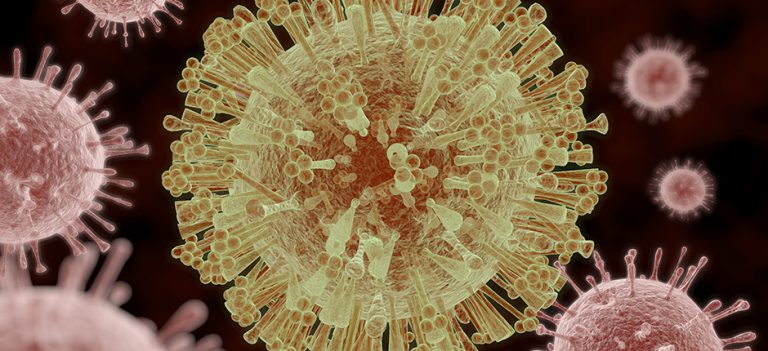 Zika Action Plan Offers National Guidance