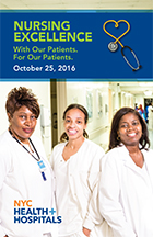 Nursing Excellence Booklet 2016