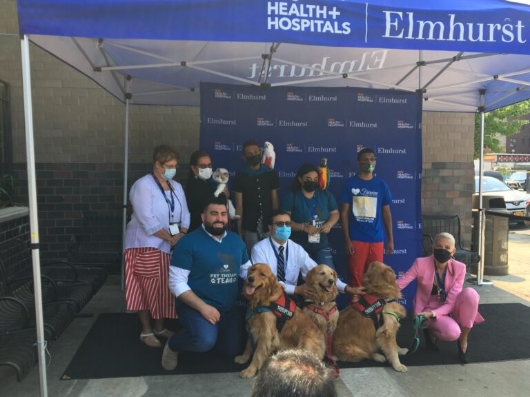 Elmhurst Hospital Launches Pet Therapy Program for Behavioral Health Patients