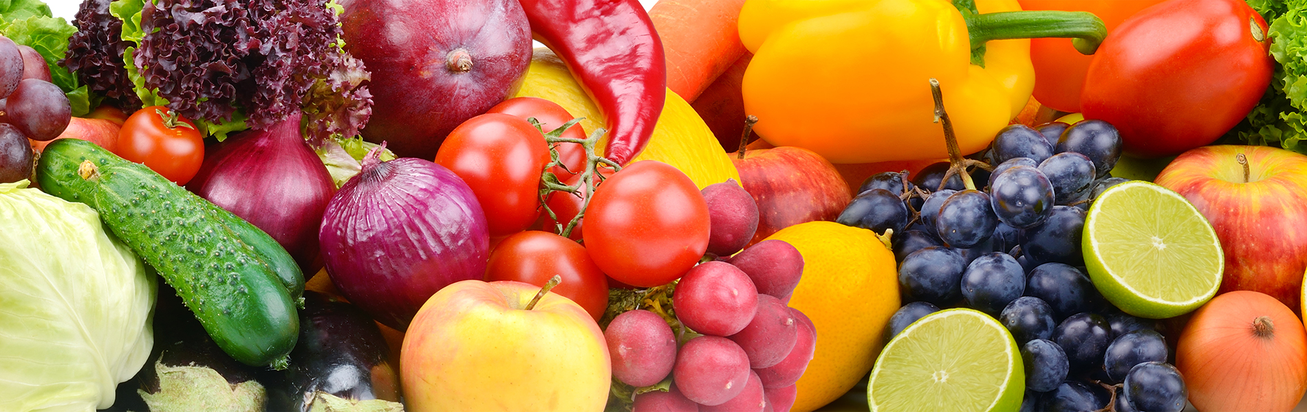 Understanding the New Dietary Guidelines: 10 Tips for Healthier Eating