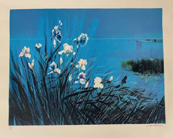 Gilbert Michaud’s Irises